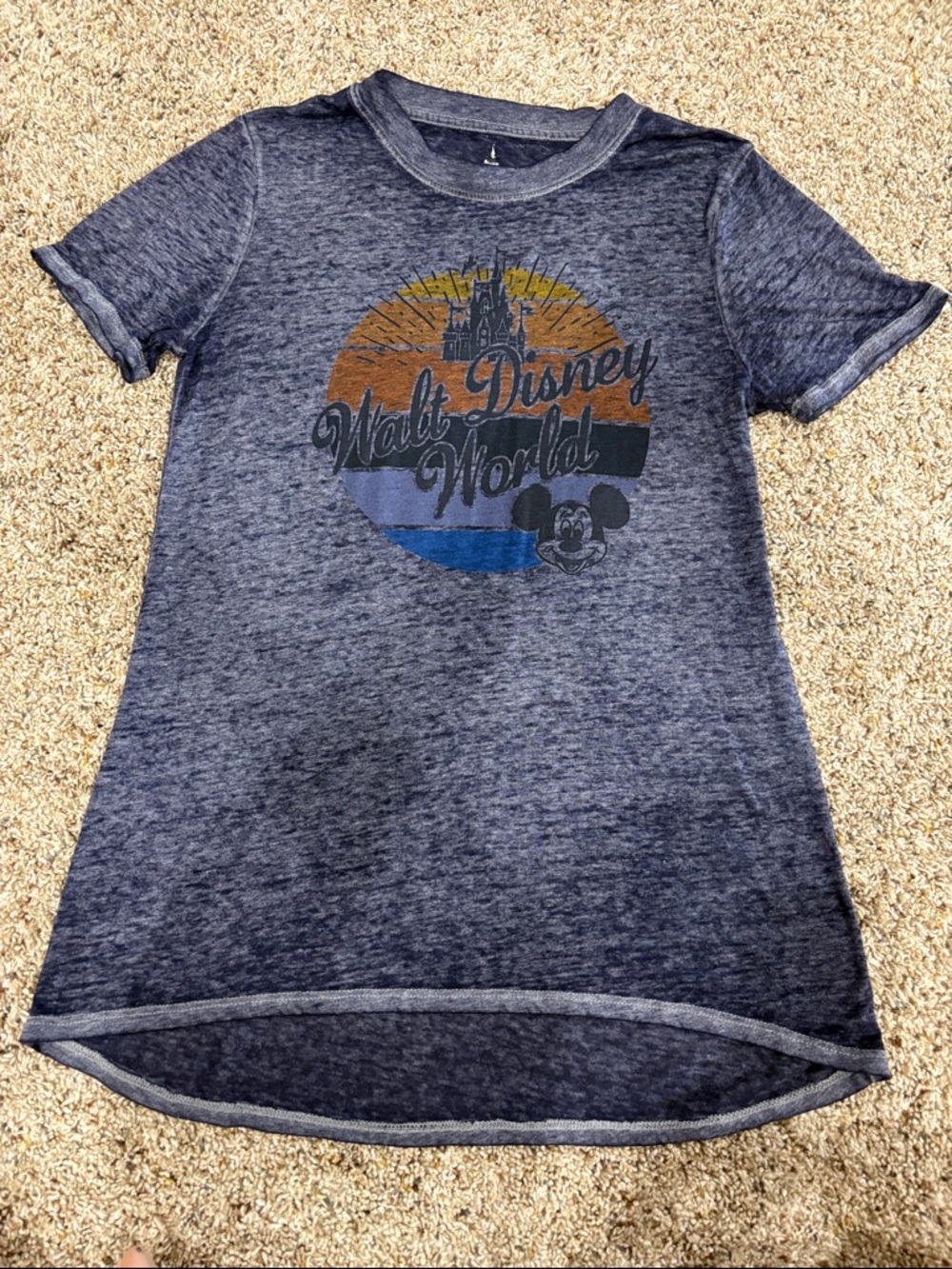 Disney Heathered Navy Walt Disney World Graphic Tee